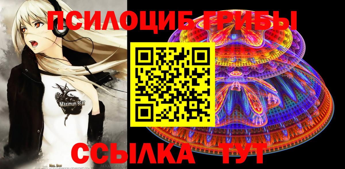 наркотики  Псилоцибиновые грибы Magic Shrooms  Вход с VPN  Псилоцибиновые грибы Psilocybe  Ялта 